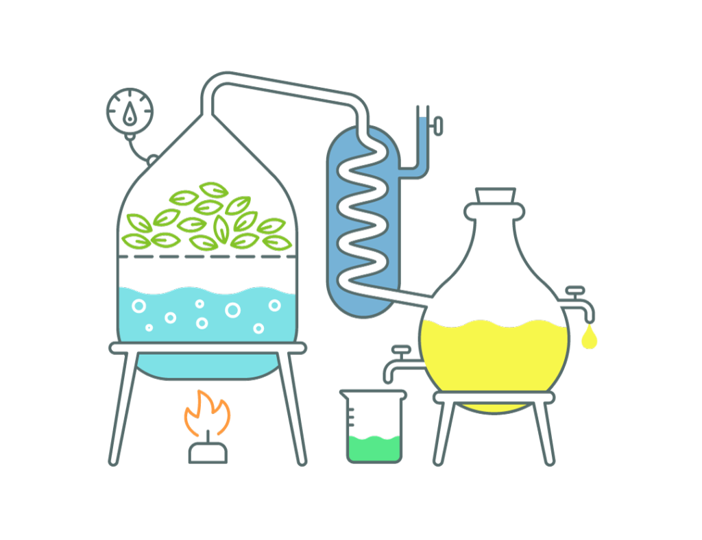 Le processus de distillation