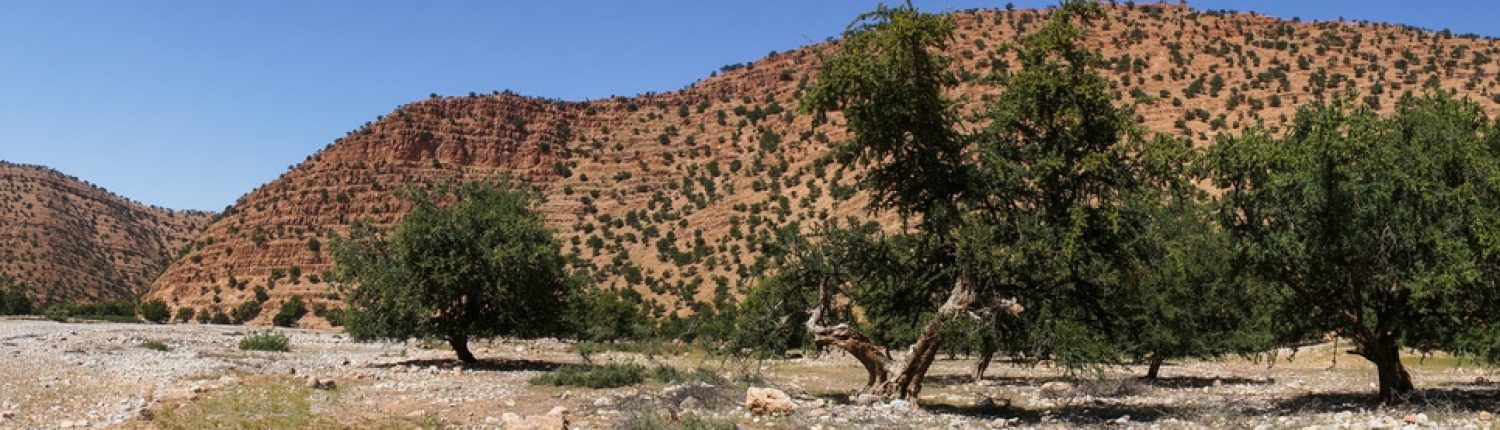 banner-argan-paysage-AdobeStock_143350817.jpeg